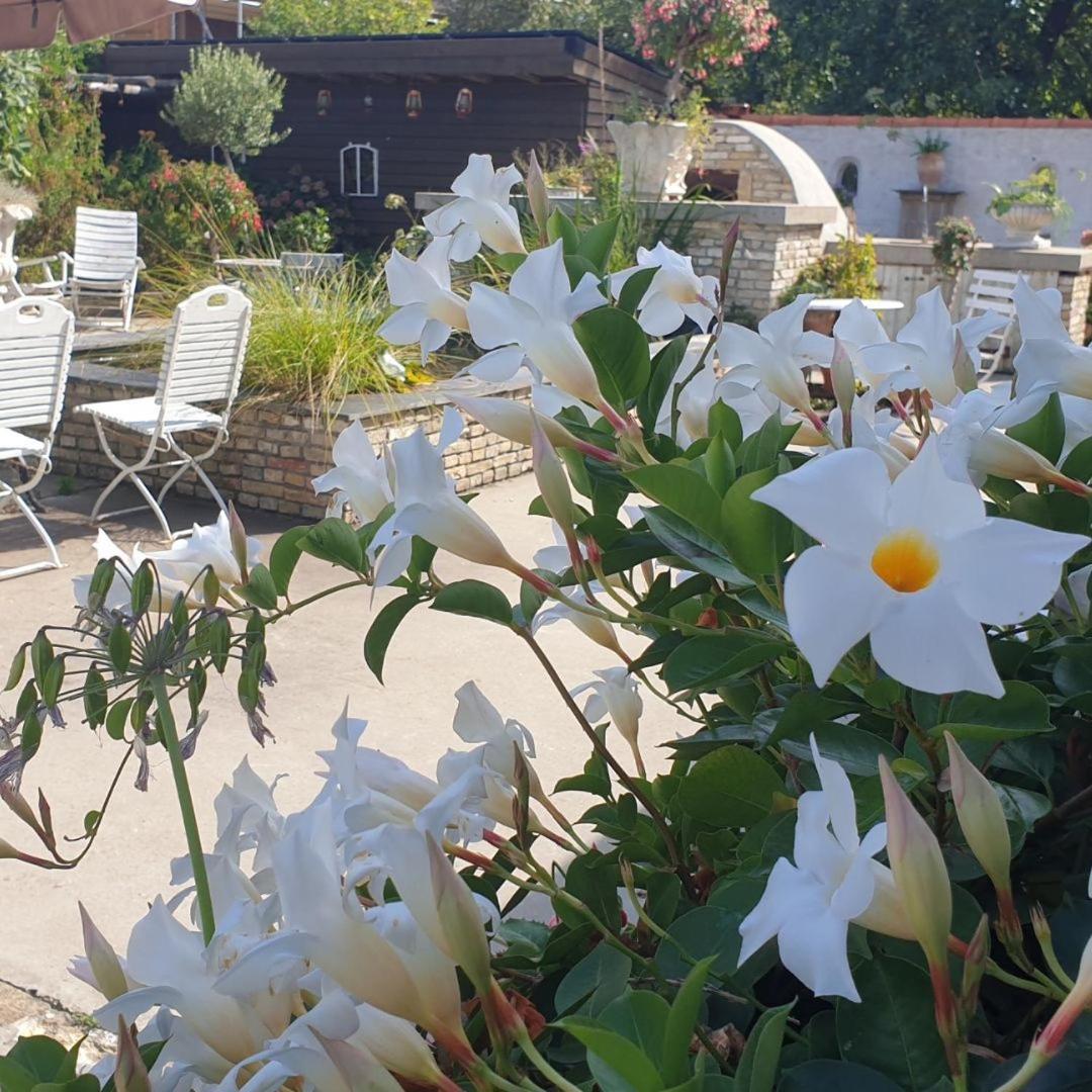 B&B Welgelegen Workum Exteriér fotografie